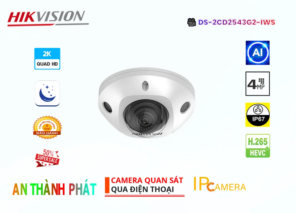 anh avataHIKVISION-DS-2CD2543G2-IWS